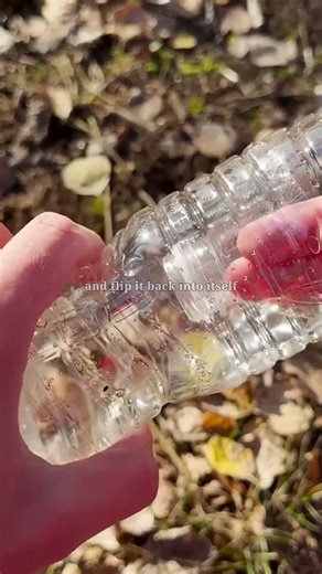 @EthanSchulteis How to Catch Fish With a Plastic Bottle — HOURS WASTED 😂 #fyp #funny #survival