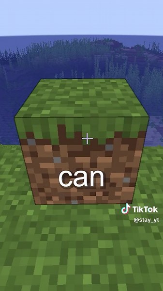 What is the debug stick in Minecraft? #fyp #minecraft #story