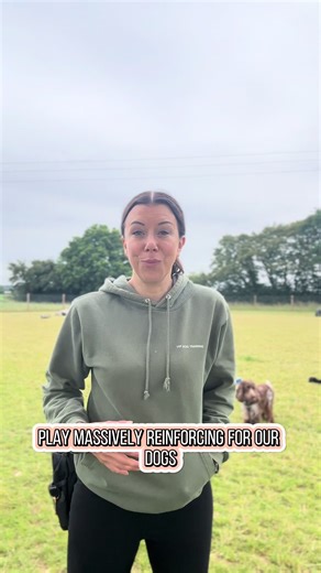 The next area to look at, when making sure your dog’s needs have been met, is play. Play is so important and as humans most of us don’t do it enough. Carve out some time, grab your dog’s favourite toy and have some fun. No rules, no guidelines, no cues - just pure fun! Play is going to improve your dog’s mood state, giving them a more positive outlook which in turn will help their resilience for separation training! You might enjoy the dopamine too ☺️💕 Enjoy! #DogTrainer #BehaviourConsultant #s