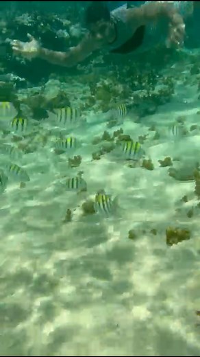 Cayó arena | ElDorado rd