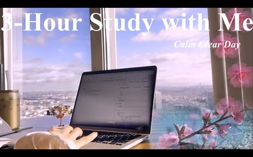 【MS】STUDY WITH ME｜在纽约市立大学学习3H｜午后｜纽约城市风景｜实时学习｜背景噪音｜No Music｜Mindful Studying
