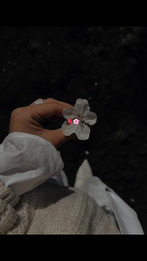 𝙕𝙞𝙠𝙧 𝙩𝙚𝙧𝙖 𝙛𝙞𝙠𝙧 𝙩𝙚𝙧𝙖.. 🌸