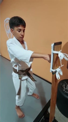 KARATE-DO #shorts #martialarts #karate #shotokan