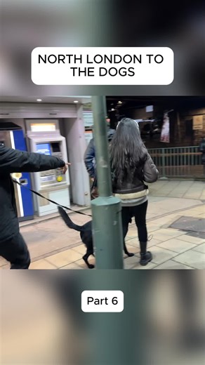 Understanding Advanced Drivers and Pursuit Techniques