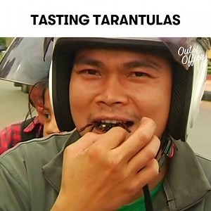 17K views · 170 reactions | Fried tarantulas are a hairy delicacy. Would you eat one? | Mic | Facebook