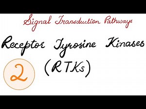SIGNAL TRANSDUCTION PATHWAYS - RECEPTOR TYROSINE KINASES ( RTKs )