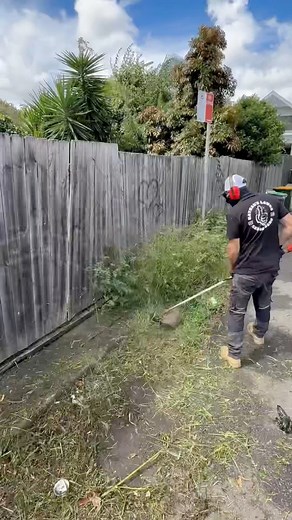 Getting the house ready for Christmas! #christmas | Nathans Lawns and Gardens