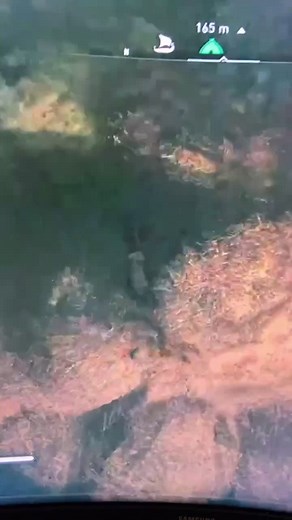 Fascinating Easter Eggs in Assassins Creed Valhalla