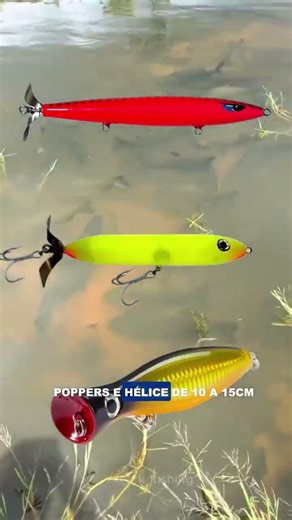 O segredo da fisgada do Tambaqui! 🎣 | brkfishing