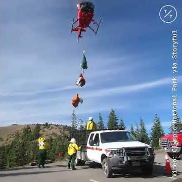 Goats Airlifted to Cascade Mountains in Washington