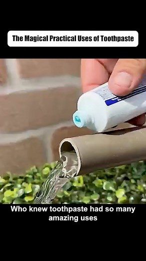 #life #lifetips #lifehacks #tips #viral | The Tips