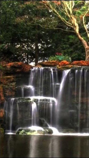 Musique Positive du Matin | Énergie et Motivation pour Bien Commencer la Journée #MusiqueMotivation