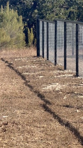 450’ of 2” square tubing fence with 4”x4” welded wire and tubing gates with cedar.. get with us for all your fencing and metal building needs! | South Texas Welding