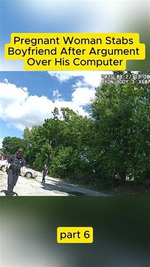 #car #cops #police #woman #computer