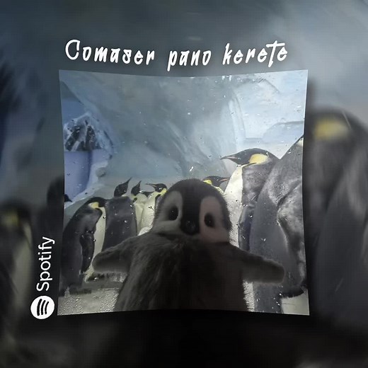 Lirik Lagu Tutu overlay dengan DJ Humase Banyo Tek