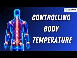 AQA only: Controlling Body Temperature