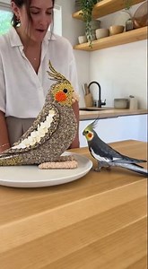 DIY Bird Treats🦜🍰😂 #familyvlog #cockatiel #cakeart