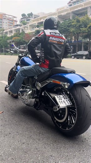 Harley Davidson Style bae🏍️🔥♥️#fypシ゚ #viral #Harleydavidson #Breakout117 #Harleydavidsonlifestyle