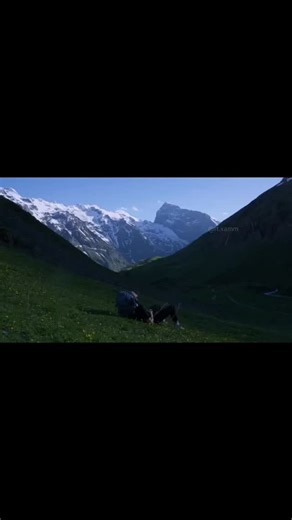 ‎س‎ on Instagram: "💌🌷 . Don’t forget to follow @ft.xamm . . . . . . #shayari #sadshayari #urdushayari #hindishayari #shayarilovers #poetryworld #poetry #poetrycommunity #islamicpoetry #ahmedfaraz #faizahmedfaiz #munirniazi #ziamohyeddin #parveenshakir #jaunalia #mirzaghalib #tehzeebhafi #viral #viralreel #viralvideos #viralpage #fyp #foryou #pakistanidrama #urdudrama #valentinesday #explore #exploremore #explorepage"