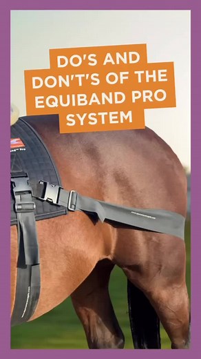 Do’s and Don’t’s of the Equiband Pro System➡️ DO: ✅Include a program of ground-based exercises, such as baited activations, before working with the band system. This helps activate muscles, and warms them up before the horse starts work. ✅Use our band length calculator and fit guide (both are on our website!) to get optimal band fit! ✅Use the Equiband WITHOUT other training tools (such as side reins). Other tools restrict movement, while the Equiband specifically promotes balanced range of motio