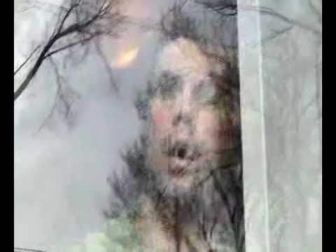 Flying Monkeys Trailer