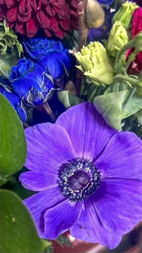 Flowers of the day themes moody and spring x