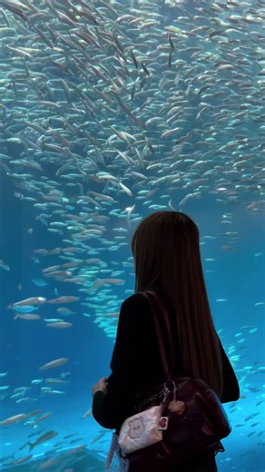 名古屋港水族館での素晴らしい初体験