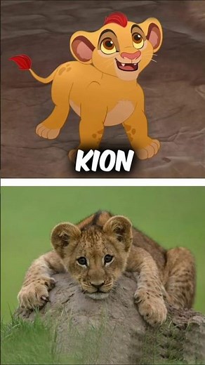 The Lion Guard Real Life 2015