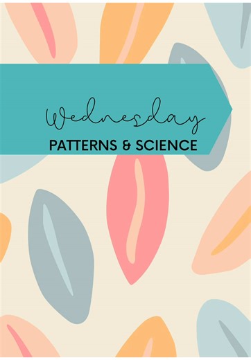 Wednesday’s Patterns, Science & Sequencing Recap 🧠🧪✨ We explored: 🔁 Pattern building — recognizing what comes next, visual tracking, early math logic 🧩 Sequencing — ordering routines, storytelling, and daily life steps 🧪 Hands-on science — exploding bag experiment animal rescue sensory lab ✋🏾 Fine motor work — droppers, mixing, rescuing & fizz reactions Letter of the Week tied it all together because repetition builds retention. #STEMforKids #HandsOnLearning #LetterOfTheWeek #SequencingSki