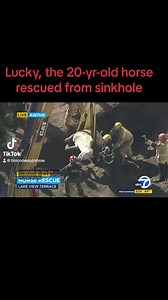 With the help of heavy equipment and a massive team of specialists, Los Angeles firefighters were able to rescue a 1,200-pound horse who sank into a hole in Lake View Terrace.The horse named "Lucky" was stuck for hours in the muddy ground, after the property owner says an apparent sinkhole opened up in the backyard. | The Tim Conway, Jr. Show
