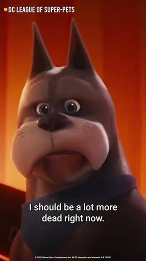DC Super Pets I Stream Weekly Premiere