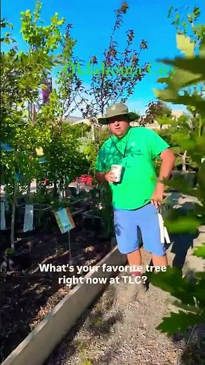 Staff Favorite Plants Right Now 🌿 Hanging Baskets + Kindred Oak Tree | TLC Garden Centers OKC