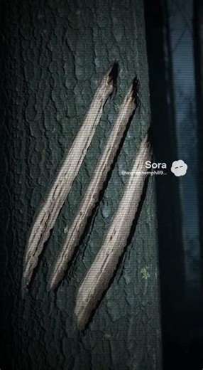 I Found The Most Disturbing Archive On The Internet