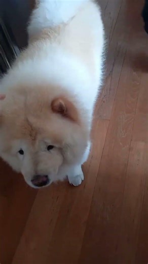 กินขนมครับ