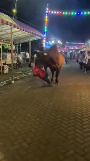 sapi ngamuk di pasar#sapi​​​​​​​​​​​​​​​​ #sapijumbo​​​​​​​​​​​​​​​​ #sapi