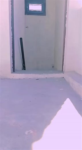 viksh (@vikas7017)’s videos with original sound - viksh