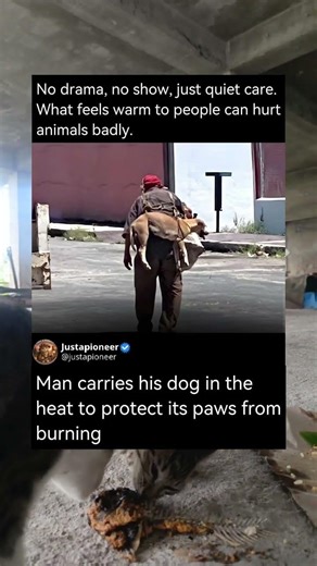 Man carries his dog in the heat to protect its paws from burning