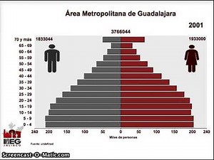 Pirámide de población: Área Metropolitana de Guadalajara