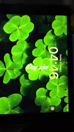 Quay lại series dậy sớm nha các em ⏰🌱 #camisthao #dailyvlog #adayinmylife #vlog #xh