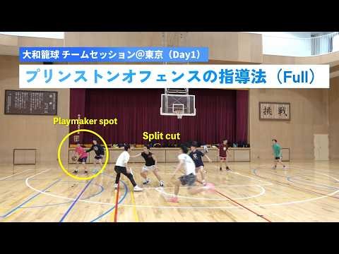 【大和籠球】２時間でプリンストンの基礎を学ぶ（チームセッション＠東京 １日目）