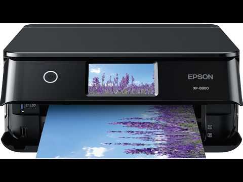 Epson Expression XP-8800 Printer Review: Stunning 6-Color Photo Prints & Fast Wireless Printing