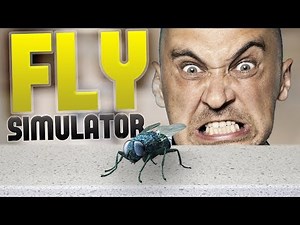 Fly Simulator - Pizza & Chill? - Man vs Flies - Fly Simulator Gameplay Highlights