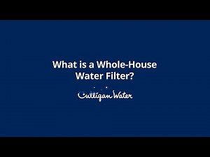 What is a Whole House Water Filter? | Culligan Water