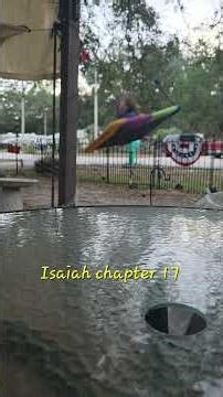 Isaiah chapter 17 King James Version