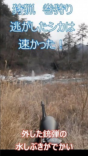 狩猟 巻狩り 逃がしたシカは速かった🦌❗️ #狩猟ユーチューバー #狩猟 #shorts