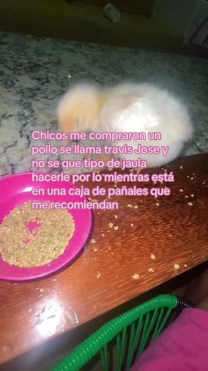 Beauty Beyond Looks: Exploring What Truly Matters