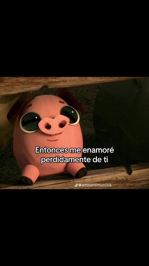 Te amo y más - Manolo, El libro de la vida