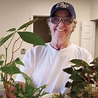 Tech Lawn and Garden: Caring for Houseplants