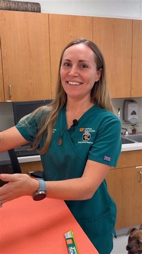 Veterinary eye specialist, Dr. Braidee Foote, demonstrates how to apply different types of medications in pet’s eyes. | University of Tennessee College of Veterinary Medicine