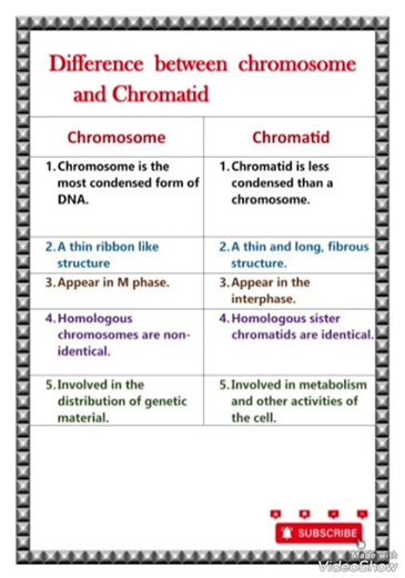 Difference between chromosome and chromatid